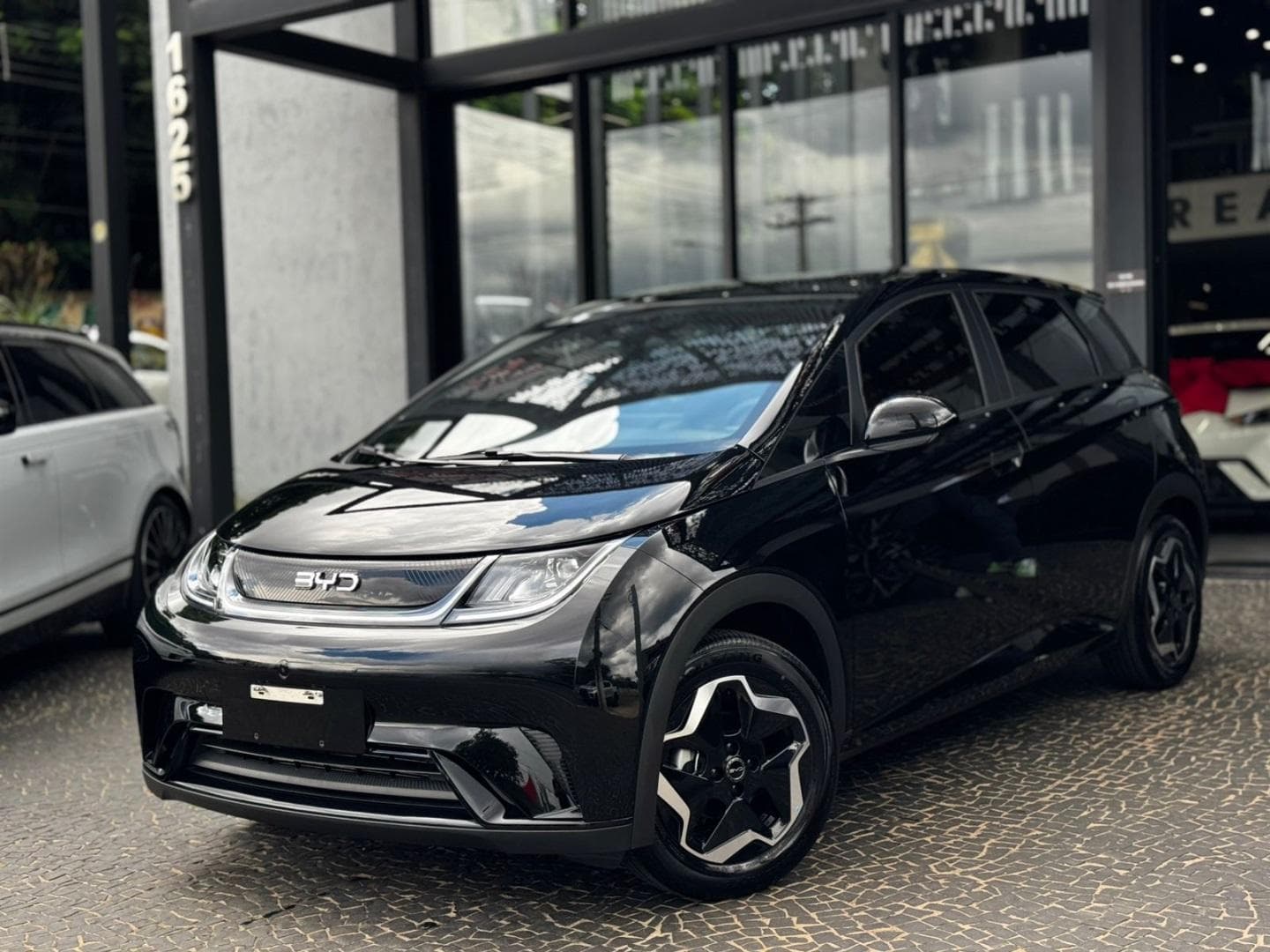 BYD Dolphin Plus - miniatura 3