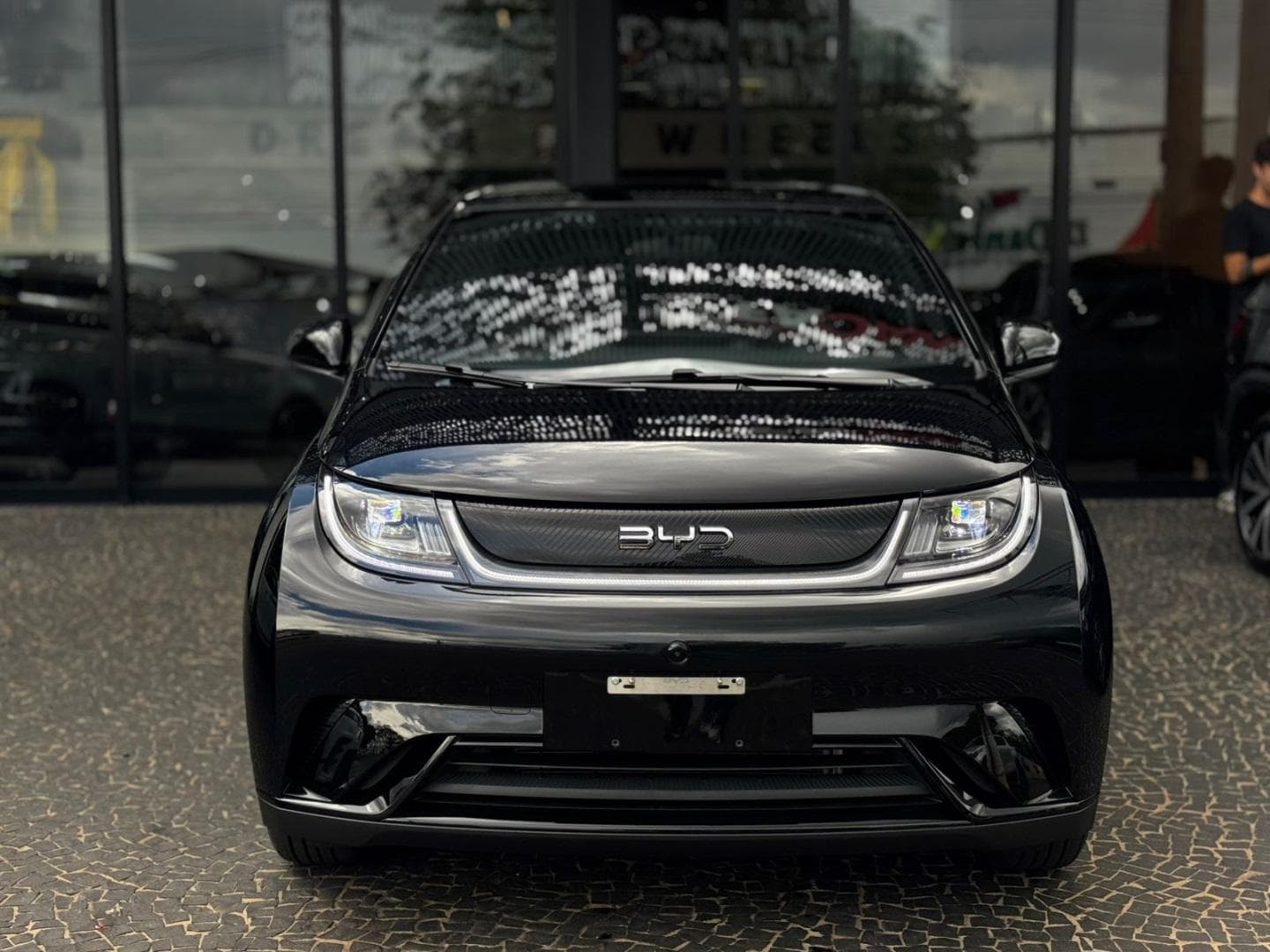 BYD Dolphin Plus - miniatura 6